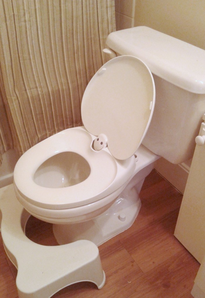 potty seat